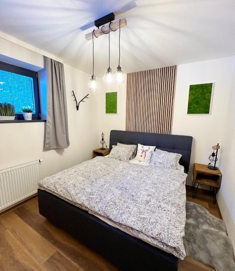 U Jelena Harrachov - Rodinny Apartman U Lesa S Garazi Экстерьер фото